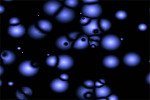 Product picture VIDEO-FUEL.COM - 0010 - Cellular Field