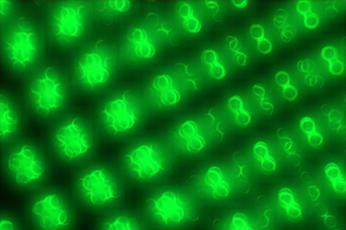 Product picture VIDEO-FUEL.COM - 0018 - Interlaced Gems