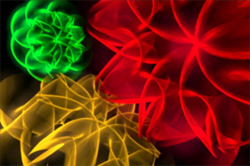 Product picture VIDEO-FUEL.COM - 0012 HD - Luminescent Flowers