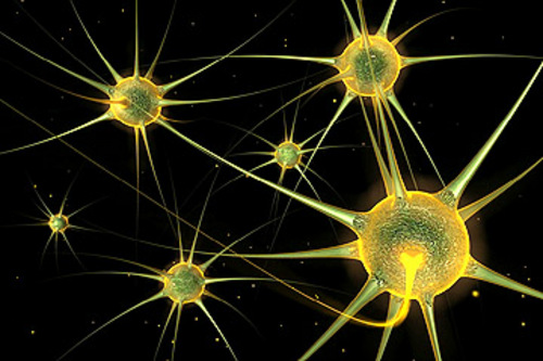 Product picture VIDEO-FUEL.COM - 0021 - Organic Cells   Particles